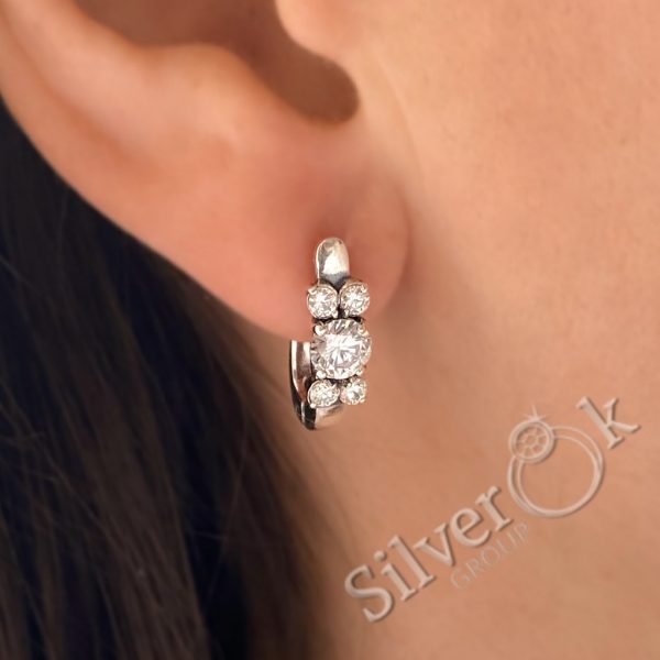 Витончені сережки 20483 - Зображення 2