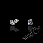 Ніжні сережки 23058