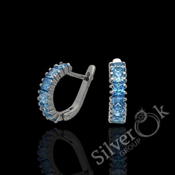 Сережки Рікс 20259р (Родовані) - Зображення 3