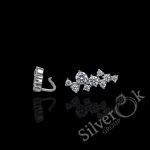 Маленькі кафи 4945 (Родовані)