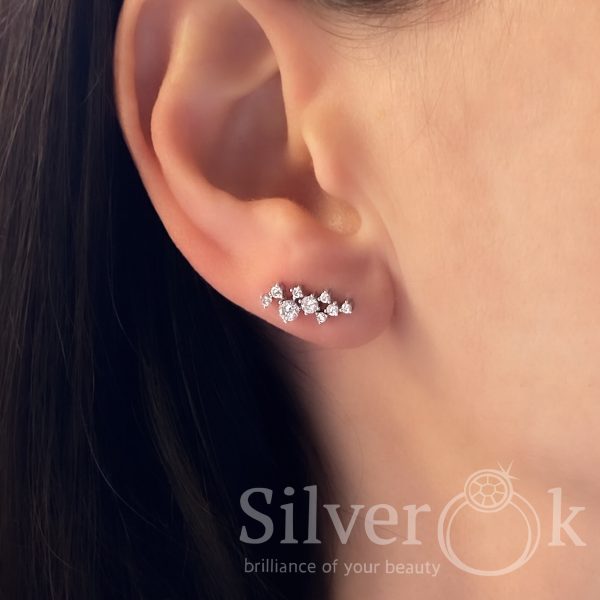 Маленькі кафи 4945 (Родовані) - Зображення 2