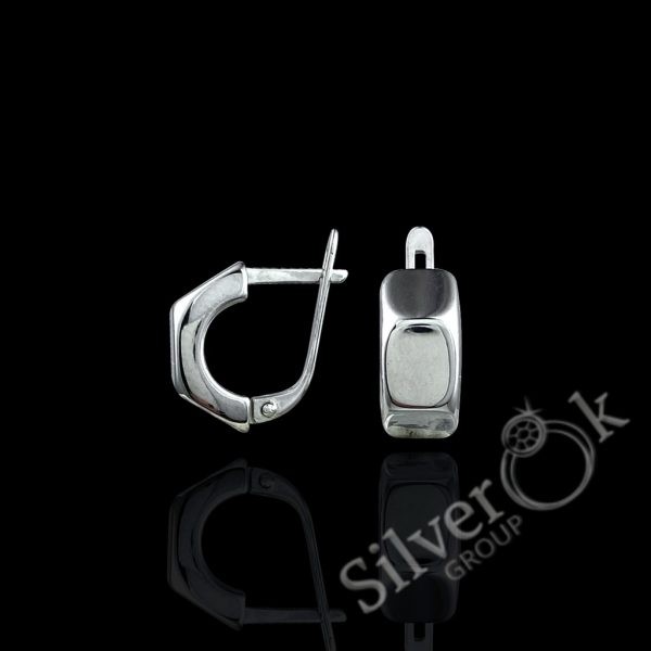 Сережки Гайка А-82663 (Родовані) - Зображення 1