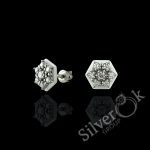 Керамічні сережки С2023 (Родовані)