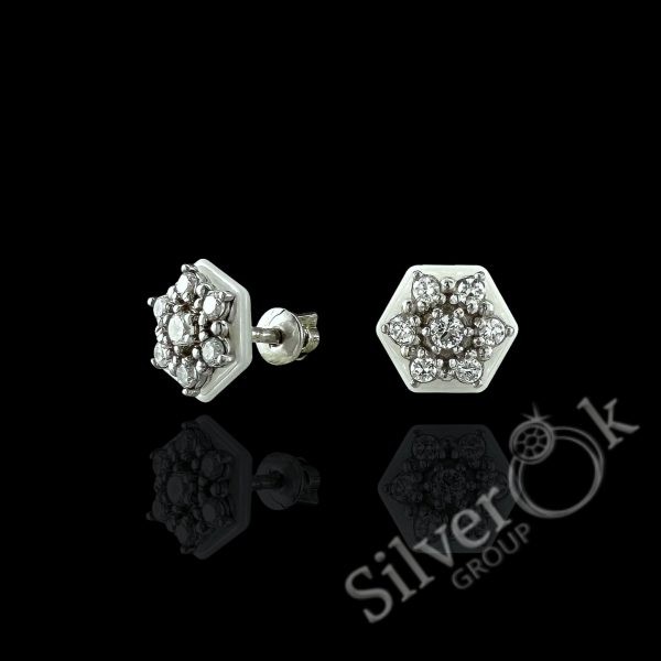 С2023 Керамічні сережки С2023 (Родовані) - Зображення 1